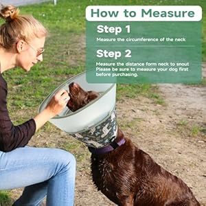   Soft-Dog-Cone-Collar-After-SurgeryClear-Padded-CollarE-Collars-for-Dogs-to-Prevent-Licking-Wound-Adjustable-Dog-Recovery-Collar-for-Large-Medium-Small-DogElizabethan-Collar-M