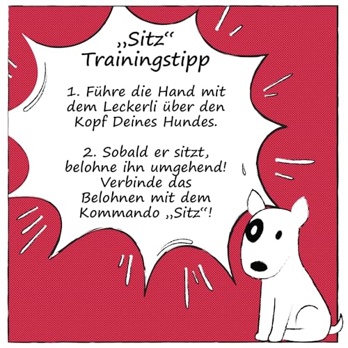 SnackOMio – Premium Hundesnack – zarte Hühnerbrust Filetstreifen, getreidefrei, 2er Pack (1 x 500g)