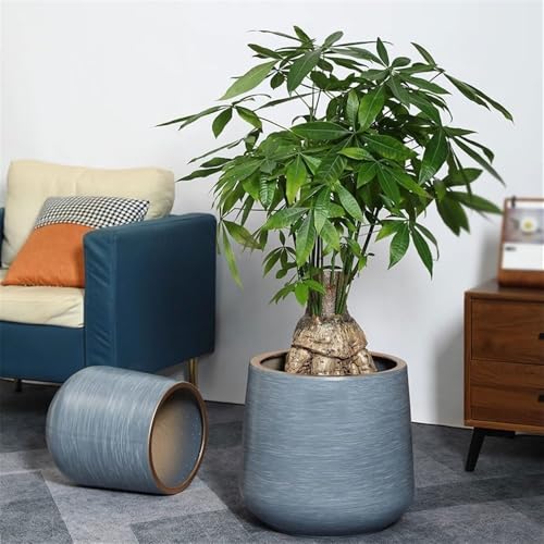 Pots de plantes de bureau gris drainage efficace contre excès d'eau - 6