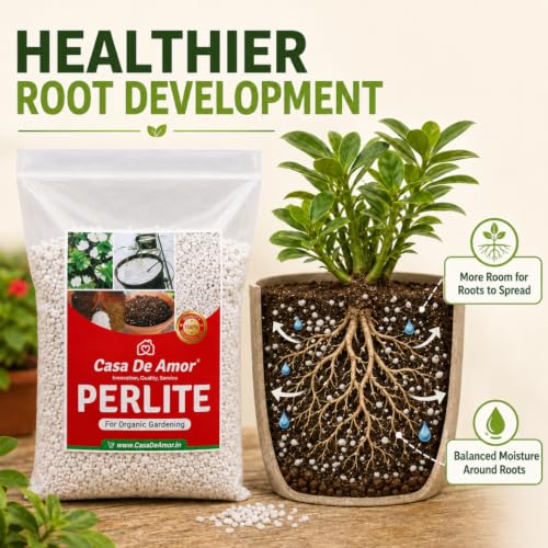 Image of Casa De Amor Perlite for Hydroponics & Horticulture, 500 Gram | Terrace Gardening, Essential Soil Conditioner, Healthy Root Growth, Retains Moisture, Allows Aeration