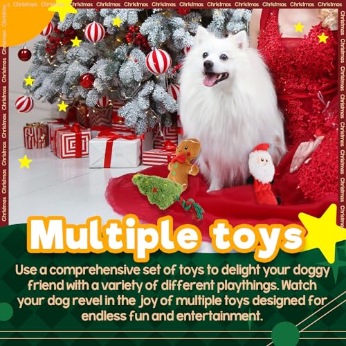 ALL FOR PAWS Weihnachts-Hundespielzeug - Festliche Plüschspielzeuge,Ideal für Apportierspiele und als interaktives kleine, mittlere und große Hunde. (Holiday Toys)