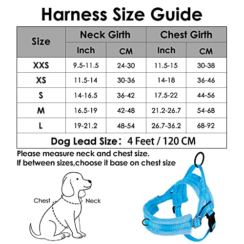 Eyein Dog Harness Small Dog, Anti Pull Heavy Duty Dog Harness and Lead Set - Image 2
