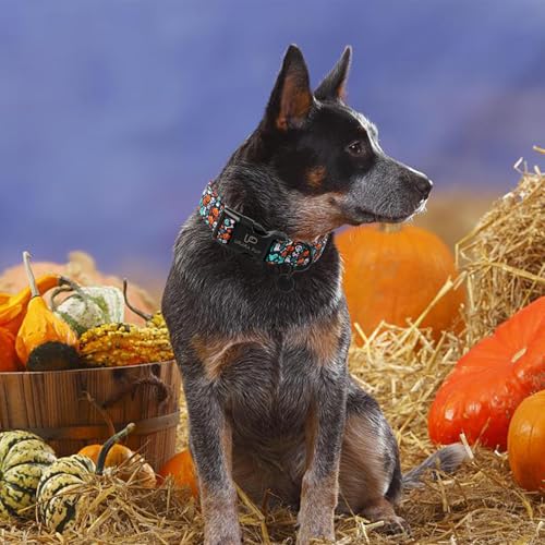 Image of Halloween Dog Collar, UP URARA PUP Cotton Skull Ghost Dog Collar for Small Dog, Fall Pet Collar with Halloween Elements Pattern, Adjustable Puppy Collar,L,Neck 16-24in