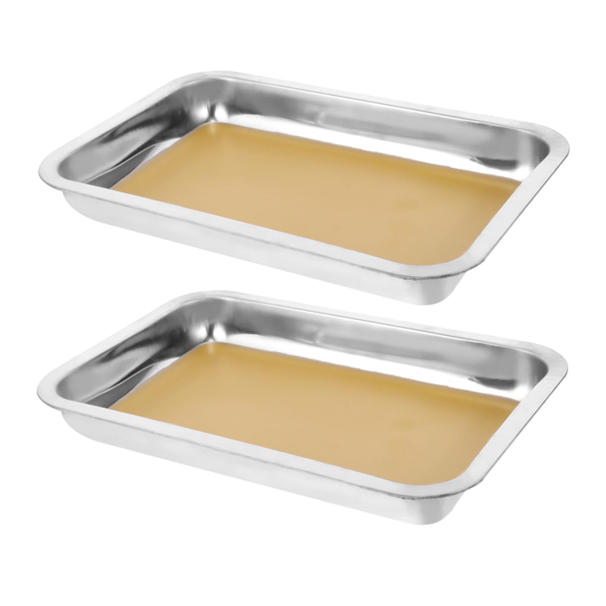 ABOOFAN 2 pezzi Vassoio da Dissezione Inox Strumento Professionale per Esperimenti Biologici per Scuole e Istituti Ricerca Facile da e Resistente Schizzi