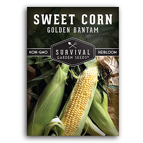 Sweet Corn Seeds for Planting - Survival Garden Seeds (1 Pack)
