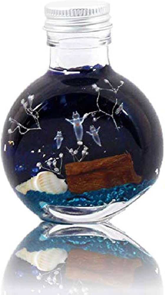 Amazon.co.jp: アクア ハーバリウム 手作り キット クリオネ 説明書付