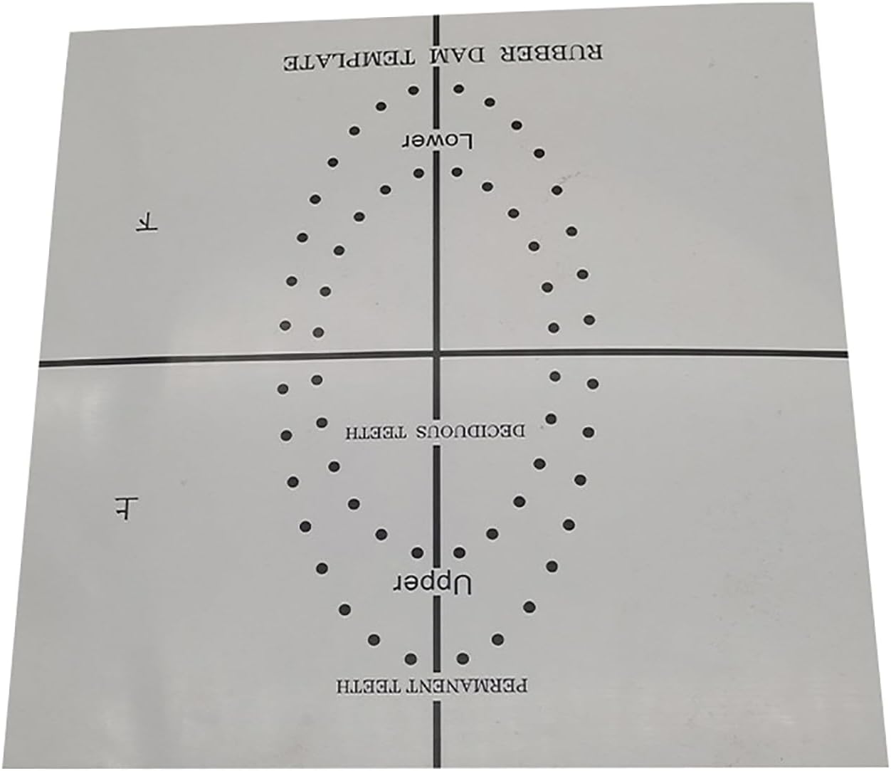 Premium Orthodontic Dental Rubber Dam Punch Tool Set with Tooth Ring Hole Openers, Gray