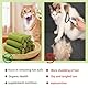 KEQAR 10 Pcs Katzengras Snack 50g Katzengras Sticks Gefriergetrocknet Snacks für Katzen für die Zahnpflege und Haarknäuel Entfernen Katzenminze Cat Grass Stick