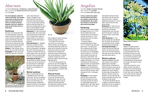 Reader'S Digest Reader'S Digest The Essential Book Of Herbs: Gardening * Health * Cooking  thumb #4