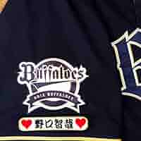 オリックス・バファローズ 野口智哉 ユニフォーム 野口智哉選手のホームビジター両ユニフォーム加工【オリックス