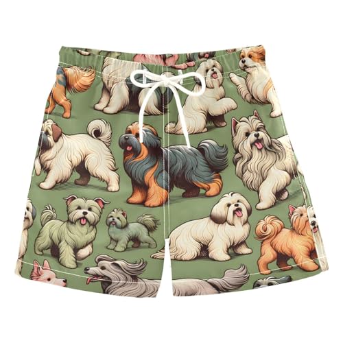 susiyo Boys Swim Trunks Cute Dogs Toddler Swim Shorts Quick Dry Beach Board Shorts Little Boy Bathing Suits Swimwear
