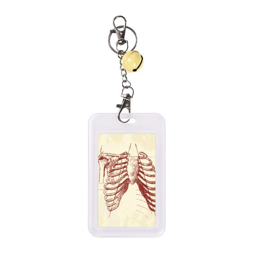 Étui carte de crédit de protection squelette pleural haute précision