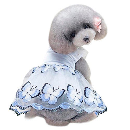 OOEOO Small Puppy Dress Pet Apparel Butterfly Pearl Shirt Dog Cat Costume Summer Skirt (Blue, M)