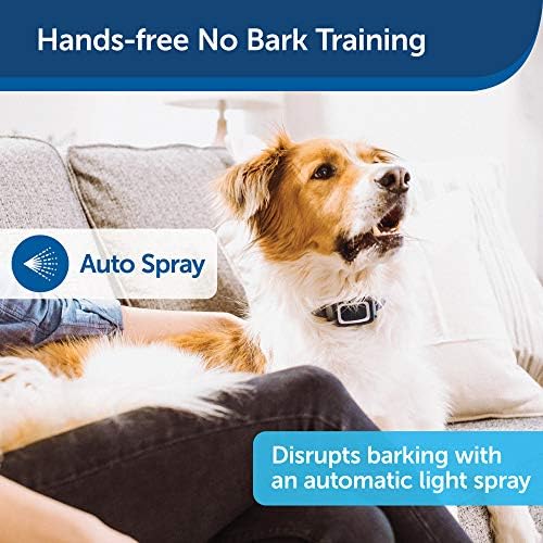 Will Spraying A Dog With Water Stop Barking