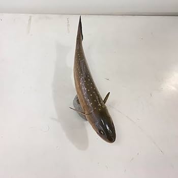 希少　木彫り　ハンドメイド　ナポレオンフィッシュ　海外購入　ペイント ウッドフィッシュ 木彫 オブジェ 魚 インテリア 置物 置き物