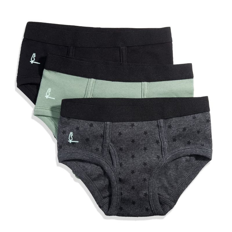 Feathers Boys' Cotton Strech Tagless Briefs Underwear - (3/pack)