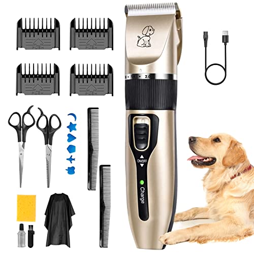 How to minimise shedding in your Springer spaniel Easy Spaniel Training