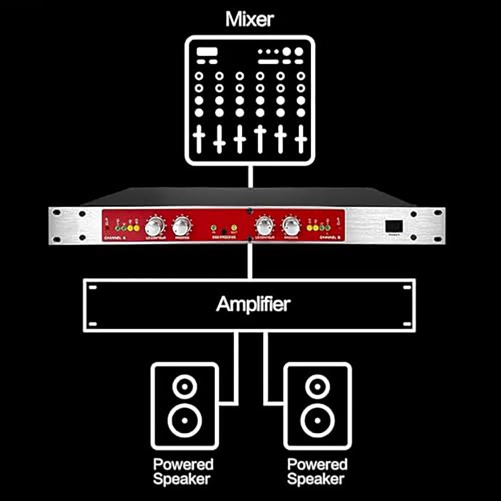 Processore audio professionale, doppio canale, autotune, eccitazione vocale & sonora, per karaoke casa, palco, spettacolo.