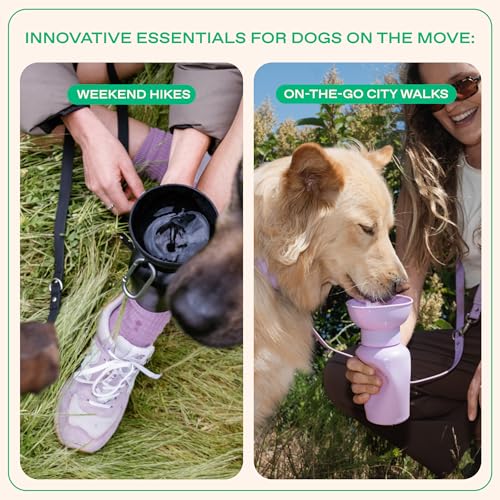 Image of Springland 20oz Portable Dog Water Bottle with Collapsible Bowl, Lilac