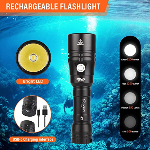 Gozebra Diving Flashlight, D20 3200 Lumen Scuba Dive Light, Rechargeable Diving Lights Underwater Waterproof Flashlight With Hidden Usb C Charging Port For Under Water Deep Sea Cave #TOP2