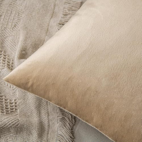 Image of 5 Piece Holland Velvet Cushion Cover, 24x24 inch, Beige | Soft Solid Decorative Throw Square Pillow Cases Modern Luxury Home Decor for Couch Sofa Bedroom Livingroom