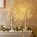 Padoo 2PK 2FT 24LT Birch Tree Battery Powered Warm White LED for Home Decoration, Wedding.