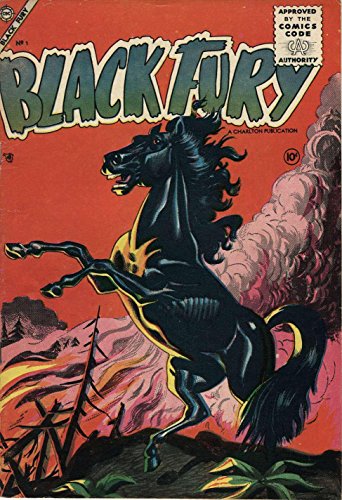 The Black Fury - Issue #1 & #2 (Golden Age Rare Vintage Comics Collection (With Zooming Panels)) (En