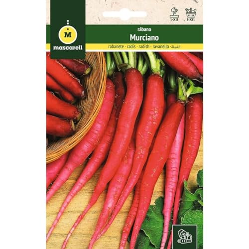 Mascarell Semillas, RÁBANO, Semillas Huerto, RÁBANO MURCIANO, Crea tu Propio Huerto Urbano y Cultivo en Casa, Plantas Hortícolas, 14 Gramos
