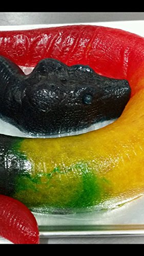 The Gummy Bear Guy | World's Biggest Gummy | Party Python miniatura 3