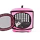 Faltbare Katzen Transportbox, Faltbare Katzentragetasche, Katzen Tragebox Öffnung Oben, Transporttasche für Katze/Kleine Hunde, Katzentransportbox Katzentransporttasche mit Weich Matten (Rosa)