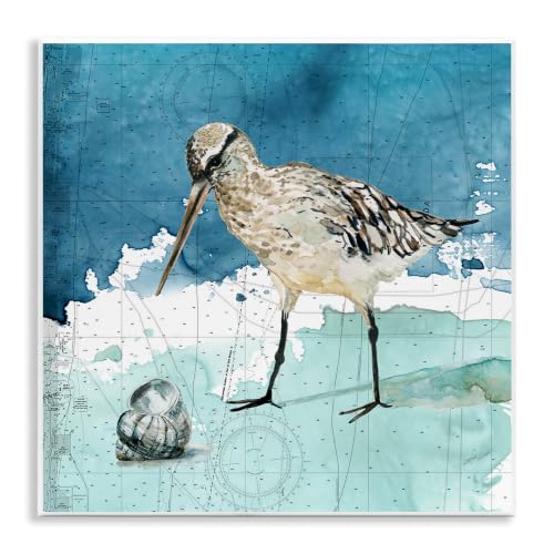 Beach Bird Coastal Shell Map, 12 x 12 Inch Mounted Print on Wall Plaque