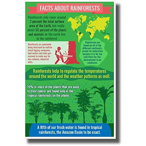 PosterEnvy Rainforest Facts - New Environmental Awareness POSTER Cover