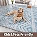 Area Rug Living Room Rugs 5x7, Large Soft Rug Neutral Machine Washable Boho Moroccan Indoor Floor Carpet for Bedroom Dining Room Playroom Home Decor