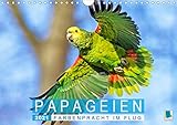 ÖKOLOGISCH - Der CALVENDO Verlag ist ein ökologisch agierendes Unternehmen, das sich zielorientiert für Umweltschutz und Nachhaltigkeit einsetzt. Durch die bedarfsgerechte Einzelfertigung im Print-on-demand Verfahren entsteht eine deutliche Abfallreduzierung. Dabei verwendet CALVENDO nur Papier, das den FSC-Vorgaben entspricht. Die Druck- und Produktionsstandorte befinden sich in Deutschland (Qualität Made in Germany) = klimabewusste Logistik durch kurze Transportwege.