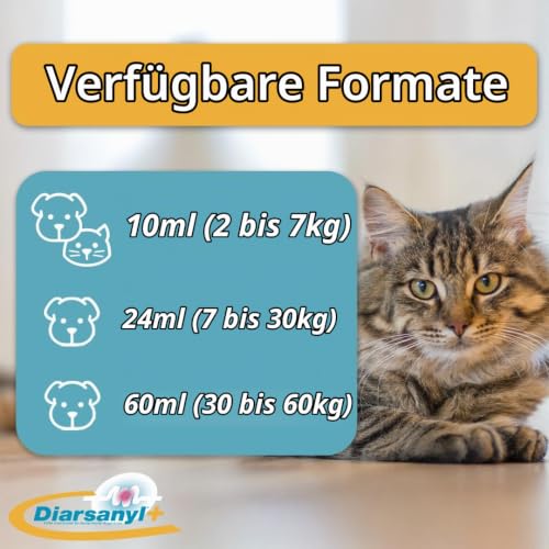 Diarsanyl Plus | Doppelpack | 2 x 10 ml Injektor | Paste zum Eingeben in das Maul | Kann zur Linderung akuter Resorptionsstörungen des Darms bei Katzen und Hunden beitragen