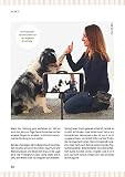 Die große Trickkiste für Hunde: Pfiffige Beschäftigung für drinnen und draußen