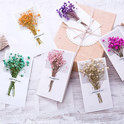 Babys Breath Dried Flowers Bundles, Natural Gypsophila Bouquet Red Dried Flowers For Diy Craft, Card Decoration, Photo Props, Birthday Party&Wedding Arrangements Home Decorations #TOP4