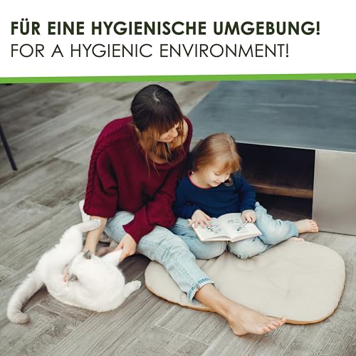 FLOTEX Anti-Giardien Wischkonzentrat 5L I Hocheffektives Giardien Desinfektionsmittel für alle Oberflächen I Wirksames Desinfektionsmittel für Giardien für den Haushalt