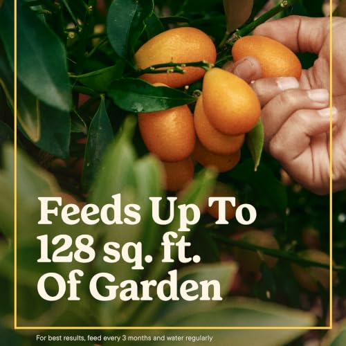 Image of Miracle-Gro Shake 'N Feed Tomato, Fruit & Vegetable Plant Food, 4.5 lb.