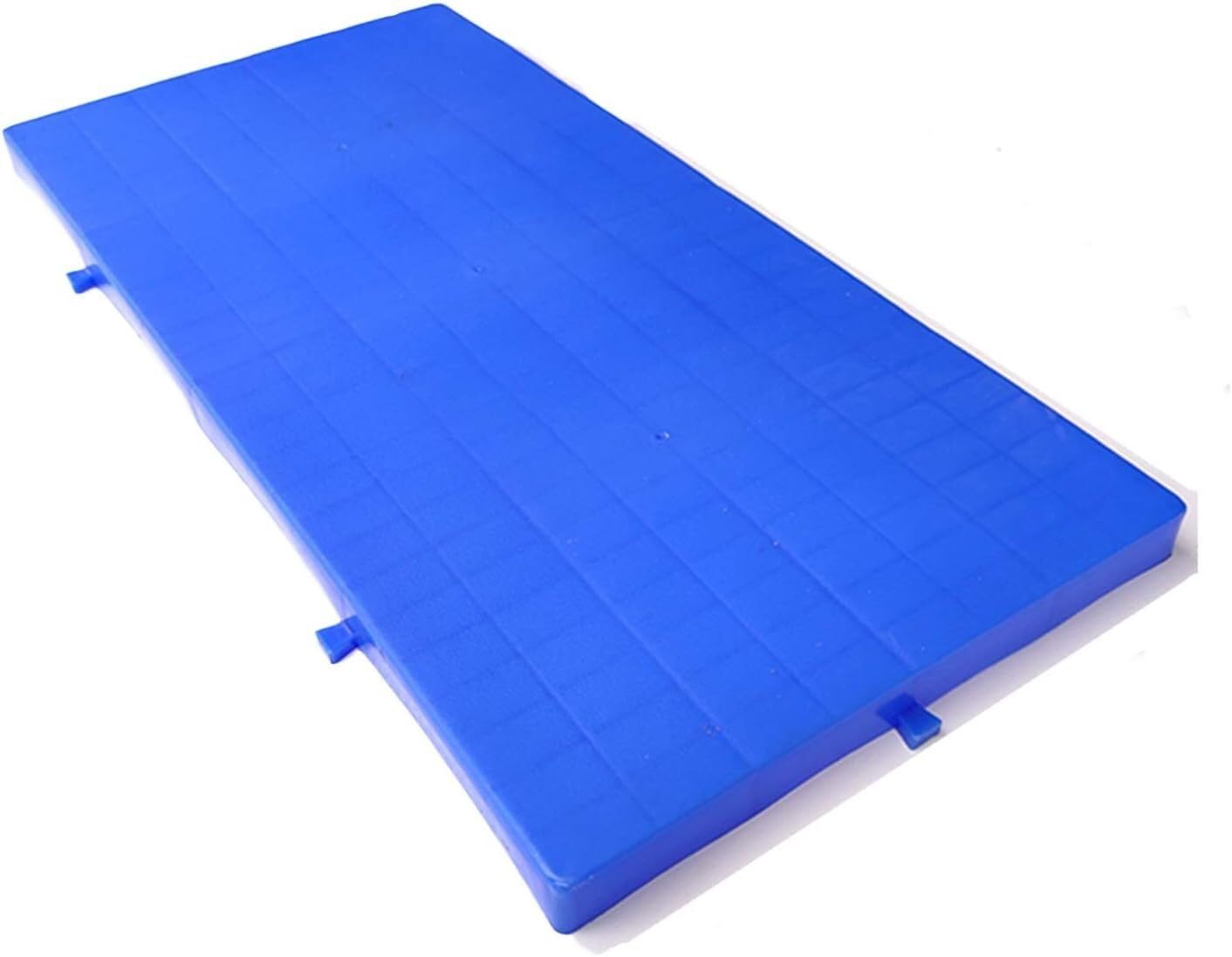 Pallet in plastica leggera per interni ed esterni, resistente all'umidità, resistente all'usura, ideale per balcone e giardino (blu, 60 x 30 x 3 cm), 1 pezzo