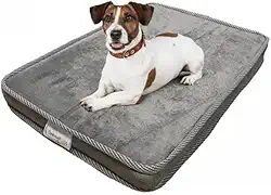Colchão Pet Ortopético Caminha Cama P, M e G Premium Para Cães Gatos Cor Cinza 42X60X05/55x75x05/70x1.00x05(P 42X60X05)