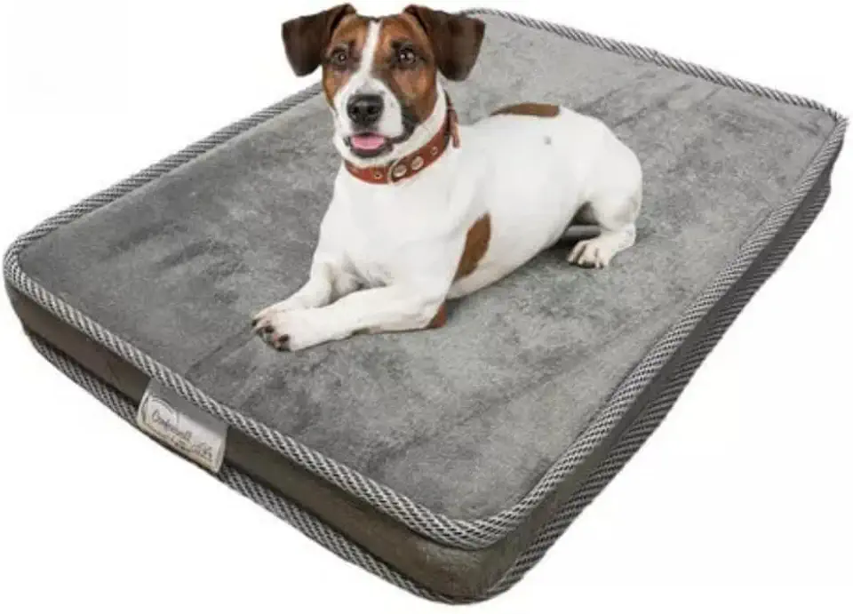 Colchão Pet Ortopético Caminha Cama P, M e G Premium Para Cães Gatos Cor Cinza 42X60X05/55x75x05/70x1.00x05(P 42X60X05)