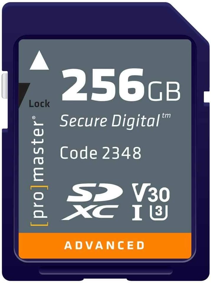 SDXC 256GB Advanced