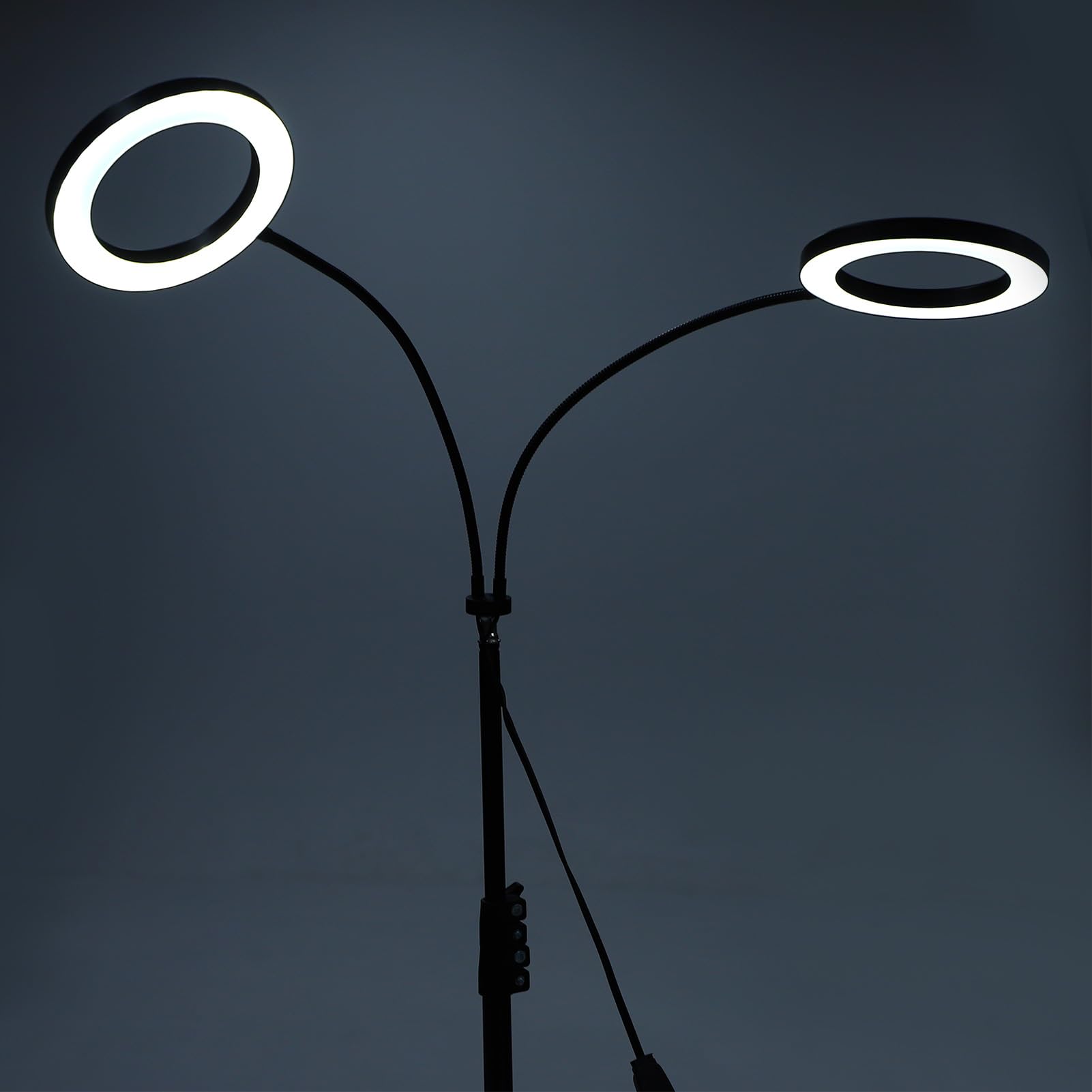 Fdit Lámpara de Cultivo LED de 72 Luces, Lámpara de Pie para Plantas de Interior, Espectro Completo, Altura Ajustable de 9 Pulgadas, (Enchufe de la UE 2 cabezales 20W Utilice adaptador 2A)