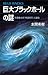 巨大ブラックホールの謎　宇宙最大の「時空の穴」に迫る (ブルーバックス)