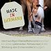 cdVet Naturprodukte EquiGreen CushingMix 1 kg, Pferde und Ponys, Stoffwechselprobleme, Entgiftungsorgane, Vitalstoffe, mit Möchspfeffer und Grünhafer