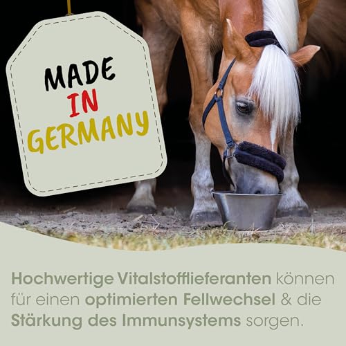 cdVet Naturprodukte EquiGreen CushingMix 1 kg, Pferde und Ponys, Stoffwechselprobleme, Entgiftungsorgane, Vitalstoffe, mit Möchspfeffer und Grünhafer