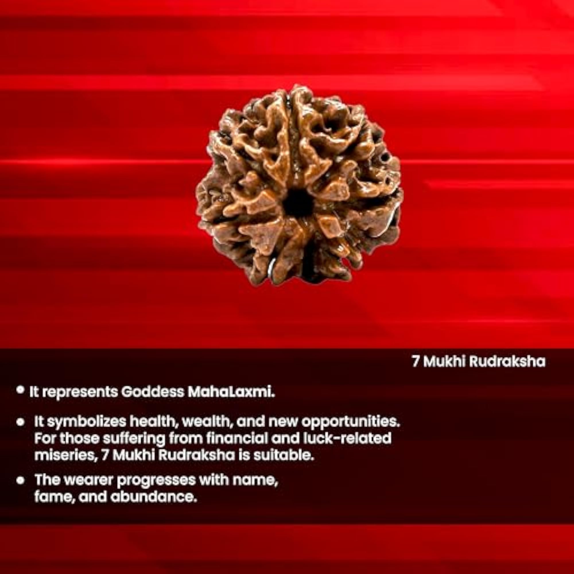 7 Mukhi Original Certified Nepali Rudraksha Pendant, Unisex