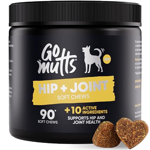 GOMUTTS Hip & Joint Care for Dogs (120 Soft Chews), Dog Hip and Joint Supplement with Glucosamine, Chondroitin & MSM - Supports Joint Health & Mobility for All Dog Breeds