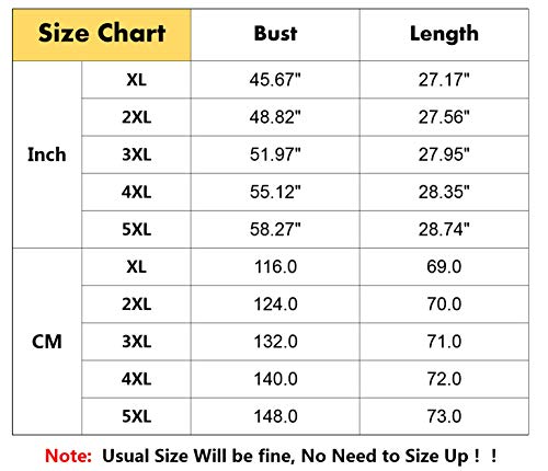 Womens Tops Plus Size Raglan Shirt 3/4 Sleeve Short Sleeve Striped Crew Neck Tshirt Tunic With Pockets B-Black #TOP4